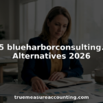 Consultant reviewing financial consulting alternatives documents